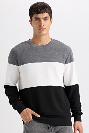 DeFacto Regular Fit Bisiklet Yaka Jakarlı Sweatshirt D5393AX24AUBK27