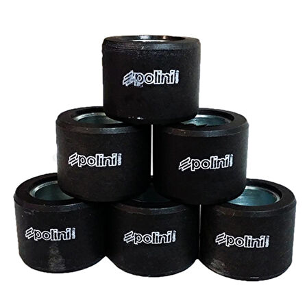 Polini Varyatör Baga ROLLERS 20X14.95mm 15gr 242.434