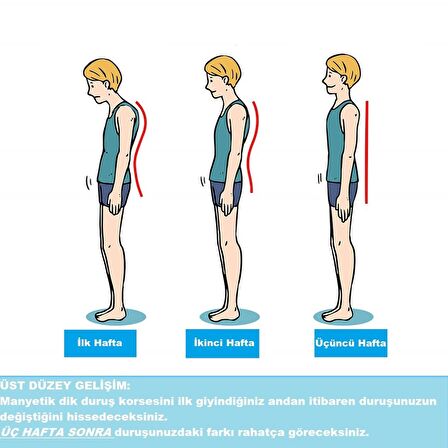 Manyetik Dik Duruş Korsesi Posturex Kadın Erkek Kamburluk Önleme