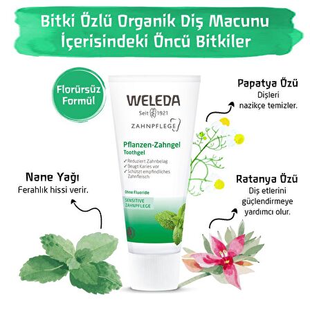 Weleda Nane Aromalı Beyazlatma Doğal Diş Macunu 75 ml 