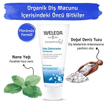 Weleda Nane Aromalı Beyazlatma Florürsüz Diş Macunu 75 ml 