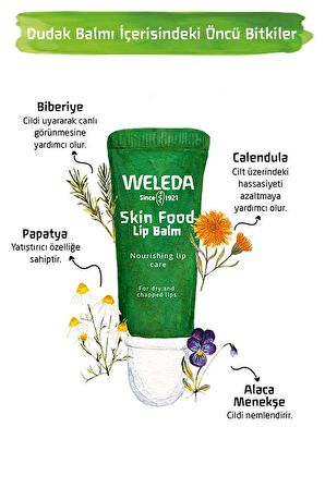 Weleda Skin Food Organik Besleyici Dudak Balmı 8 ml