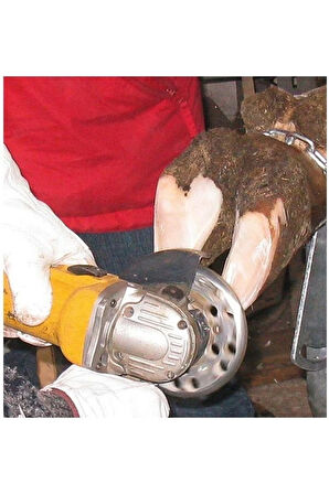 6 Bıçaklı Tırnak Diski