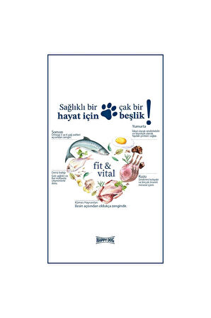 Happy Dog Fit Vital Mini Light Kalori Kontrollü Mini Irk Yetişkin Köpek Kuru Maması 4 kg