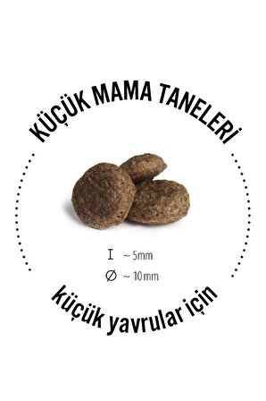 Happy Dog Mini İrland Somonlu Hassas Köpek Maması 4 Kg