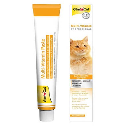 Multi Vitamin Kedi Macunu 100 Gr