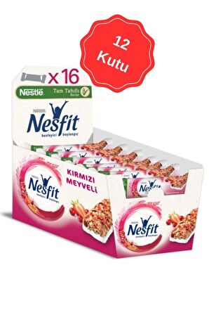 Nesfit Kırmızı Meyveli Bar 23.5G (16 Lı x 12 Kutu)