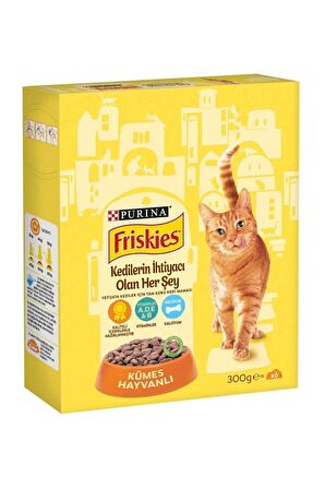 Friskies Tavuklu Yetişkin Kuru Kedi Maması 300 Gr x 10 Adet