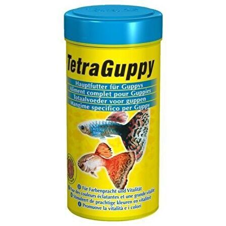 Tetra Guppy Lepistesler için Pul Balık Yemi 100 ml