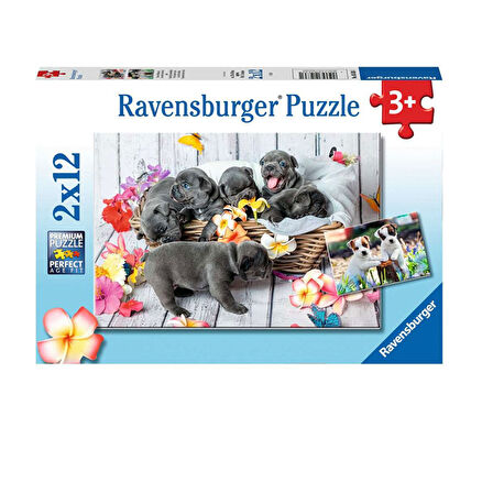 Ravensburger 2x12 Parça Puzzle Yavru Köpekler 56361
