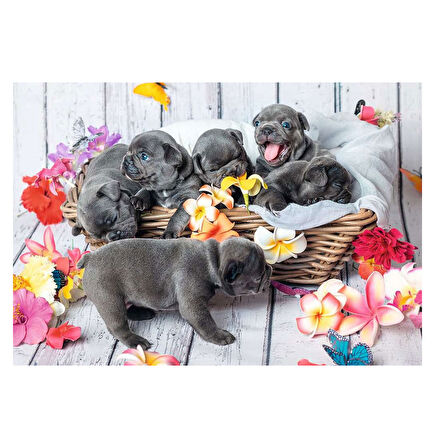 Ravensburger 2x12 Parça Puzzle Yavru Köpekler 56361