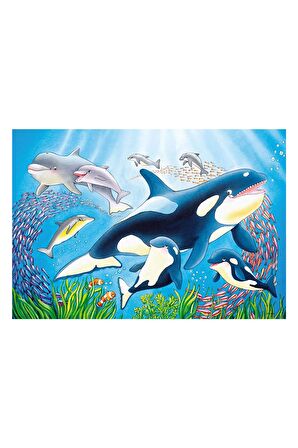 Ravensburger Yaşam 2x24 Parça Çocuk Puzzle