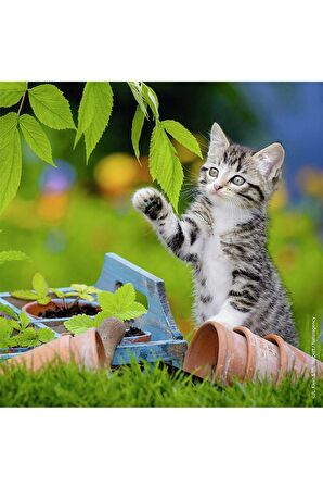 Ravensburger Hayvanlar 3x49 Parça Çocuk Puzzle