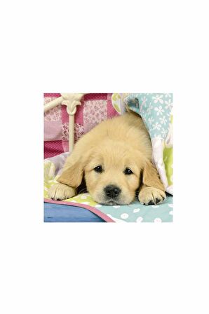 Ravensburger Yaşam 3x49 Parça Çocuk Puzzle