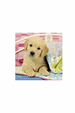Ravensburger Yaşam 3x49 Parça Çocuk Puzzle