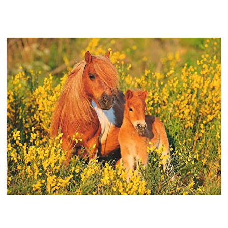 Ravensburger 100 Parça Puzzle Taylar 132836