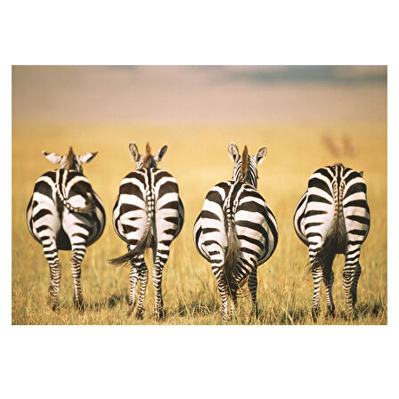 Ravensburger 300 Parça Puzzle Zebra 133123