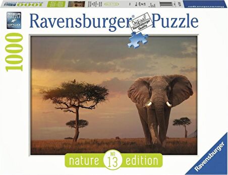 Ravensburger Manzara 1000 Parça Yetişkin Puzzle