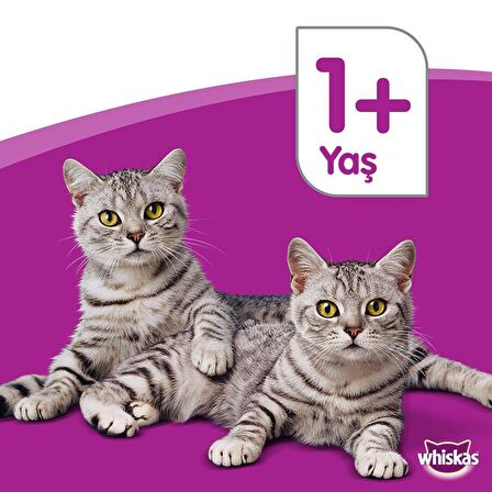 Whiskas Sığır Etli Kedi Konservesi 400 Gr (6 ADET)