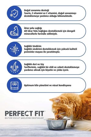 Perfect Fit  Yavru Tavuklu Kuru Kedi Maması 750 G 3x