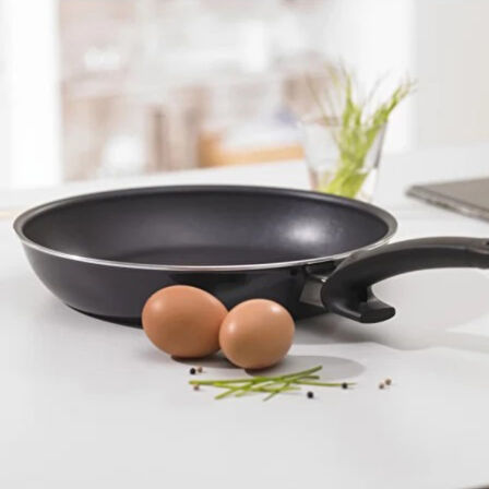 Fissler Emax Comfort 20 Cm Tava