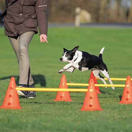 Trixie Köpek Agility Oyuncağı 3 Ad Ø23X30cm 78cm