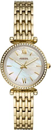 Fossil FES4735 Kadın Kol Saati