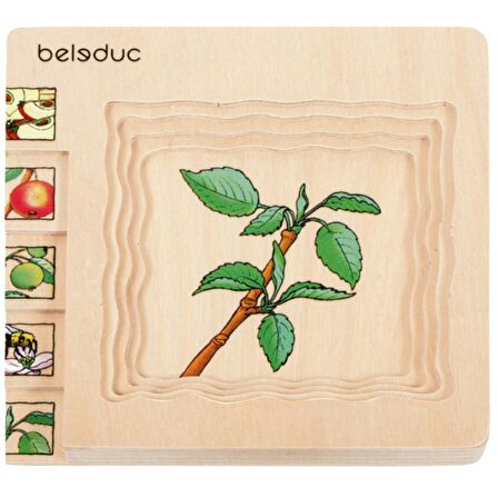 Beleduc Oluşum Puzzle - Elma