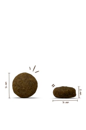 Bosch Special Light Extra Düşük Kalorili Yetişkin Köpek Maması 2,5 Kg
