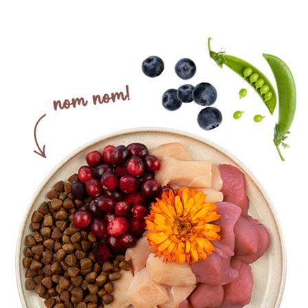 sanabelle Sanabelle Sanabelle Indoor Gine Tavuğu ve Yaban Mersinli Yetişkin Kuru Kedi Maması 8 Kg