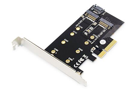 Digitus DS-33170 M2 NGFF NVMe SSD Harddisk to PCI Express 3.0 x 4 Dönüştürücü