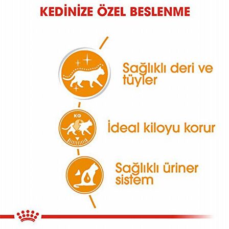 Royal Canin Intense Beauty Gravy Kedi Konservesi 6x85 Gr 