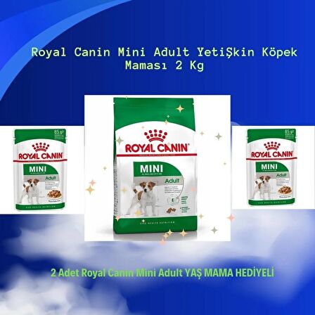 Royal Canin Mini Adult Yetişkin Köpek Maması 2 Kg+ 2 Mini Adult Yaş Mama 2*85g