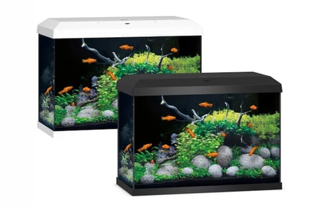 Juwel Primo 70 Led 2.0 Komple Akvaryum Seti Siyah 61X31X44 Cm 70 Lt