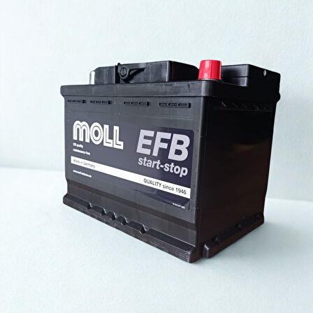 MOLL 64 AH. 620A (EN) EFB. (ÜRETİM TARİHİ: 2025)