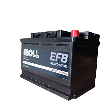 MOLL 74 AH. 720A (EN) EFB. (ÜRETİM TARİHİ: 2025)