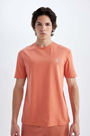 DeFacto Regular Fit Bisiklet Yaka Baskılı Kısa Kollu Tişört C5650AX24HSOG187