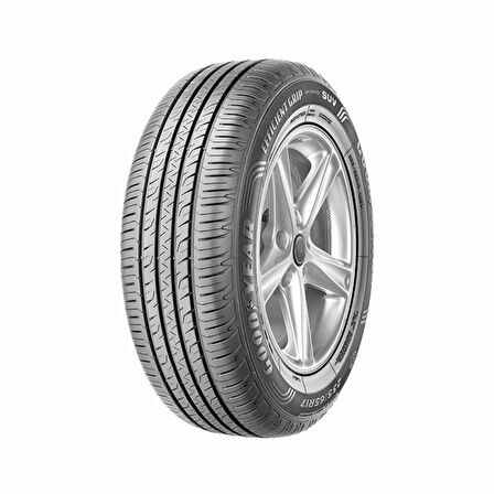 Goodyear 245/45R19 102V EfficientGrip Performance SUV VOL XL Oto Yaz Lastiği (Üretim : 2024 )