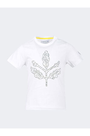 Fenerbahçe Orijinal Palamut Logo Polo Yaka Çocuk T-Shirt