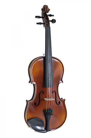 Gewa Allegro VL1 4/4 Keman