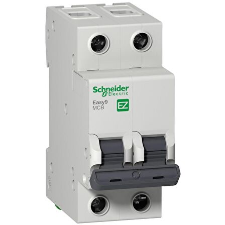 Schneider EZ9F34232 2 Faz 32Amper Sigorta
