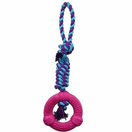 İpli Kauçuk Köpek Oyuncağı 12x41 Cm