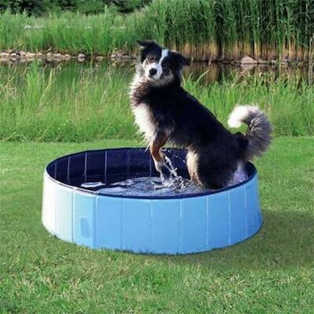 Köpek Oyun Havuzu Çap 80 Cm Derinlik 20 Cm
