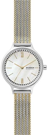 Skagen Skw2908 Bayan Kol Saati