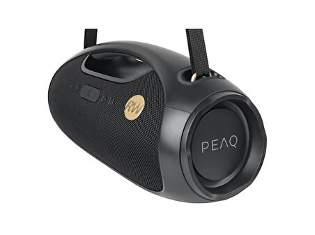 PEAQ Iconic Vibe 2 - PPA 600-RW Robbie Williams Edition 120W Bluetooth Hoparlör