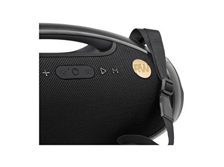 PEAQ Iconic Vibe 2 - PPA 600-RW Robbie Williams Edition 120W Bluetooth Hoparlör