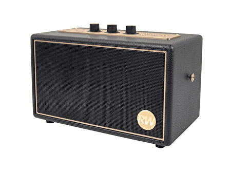 PEAQ Iconic Vibe 3 - PPA 550-RW Robbie Williams Edition 60W Bluetooth Hoparlör