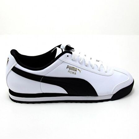 Roma Basic