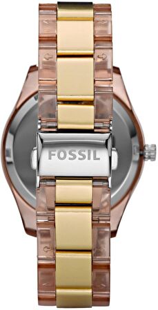 Fossil ES2866