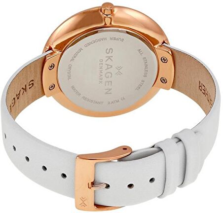 Skagen SKW2291